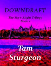 DOWNDRAFT - Невероятная трилогия Небо - Книга 2