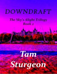 DOWNDRAFT - Невероятная трилогия Небо - Книга 2